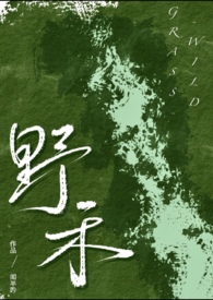 野禾(伪兄妹、bdsm)